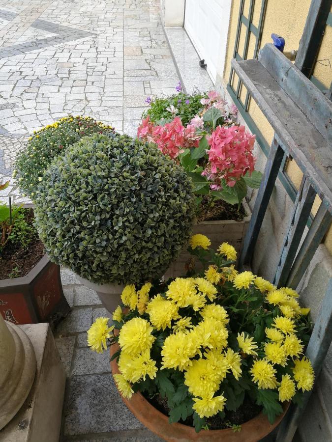 ברי-סור-מרנה Le Studio Chez Marile מראה חיצוני תמונה